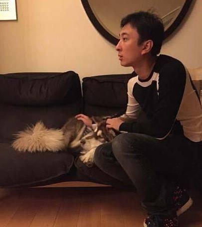 娱乐圈喜欢养狗,狗狗们的明星生活